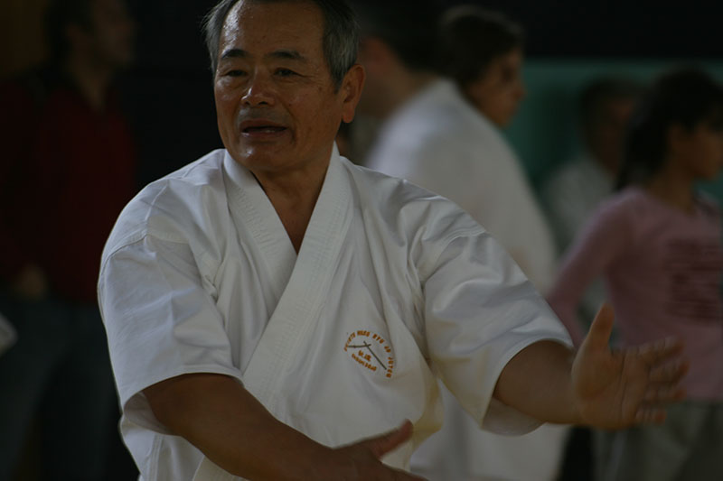 2007 Aikido Semineri 
